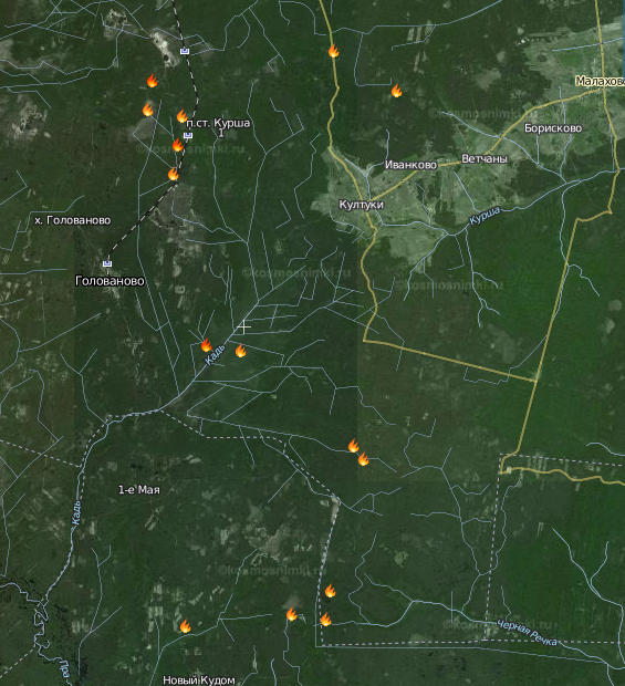 Карта пожаров курган